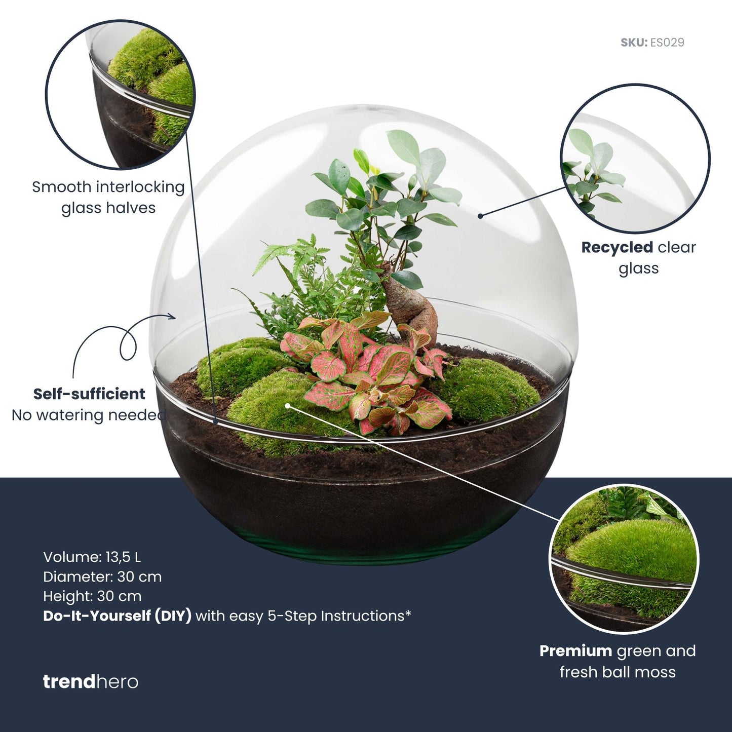 Dome Xl Bonsai - Two-Part Round Glass Terrarium - Bottle Garden Diy Kit - Ø 28 Cm ↑ 28 Cm