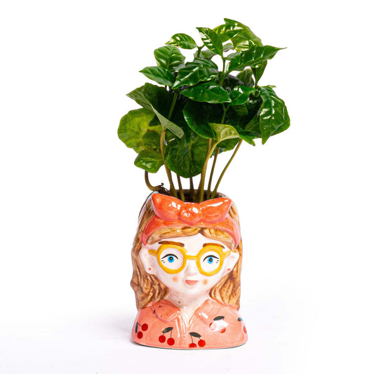 Mini Flower Pot Multi Color - Bobbi - Face Head - 10.5 Cm